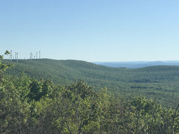 A View from the Moosic Mountains