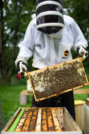 St Tikhon's Monastery Honey