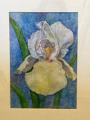 Iris Watercolor