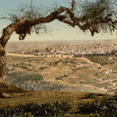 Jerusalem Incense 1.6 oz