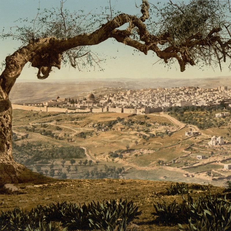 Jerusalem Incense 6 oz.