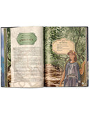 Introducing the Iliad and Odyssey