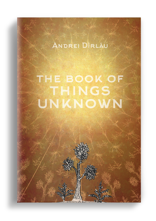 The Book of Things Unknown